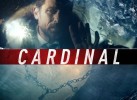 Les 4400 Cardinal | Billy Campbell 